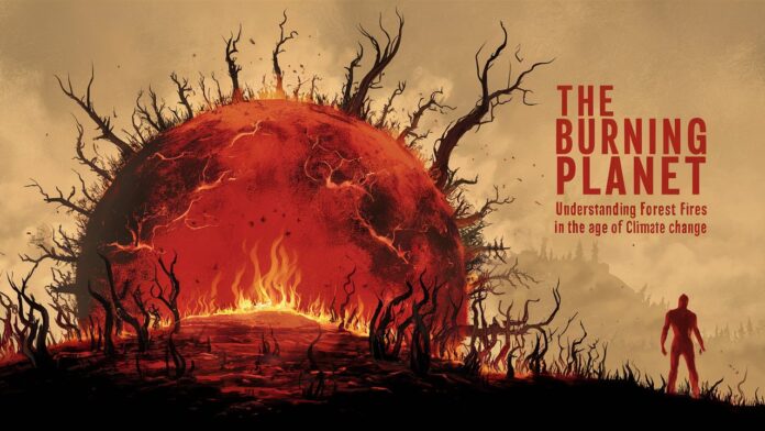 The Burning Planet: Understanding Forest Fires in the Age of Climate Change